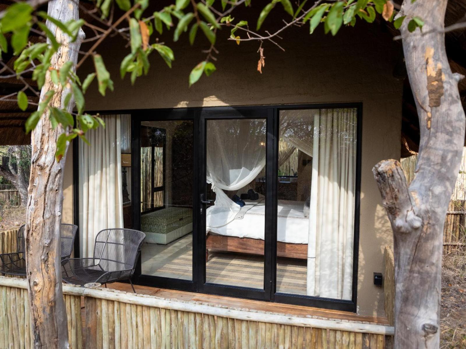 Kwambili Game Lodge Thornybush Game Reserve Værelse billede