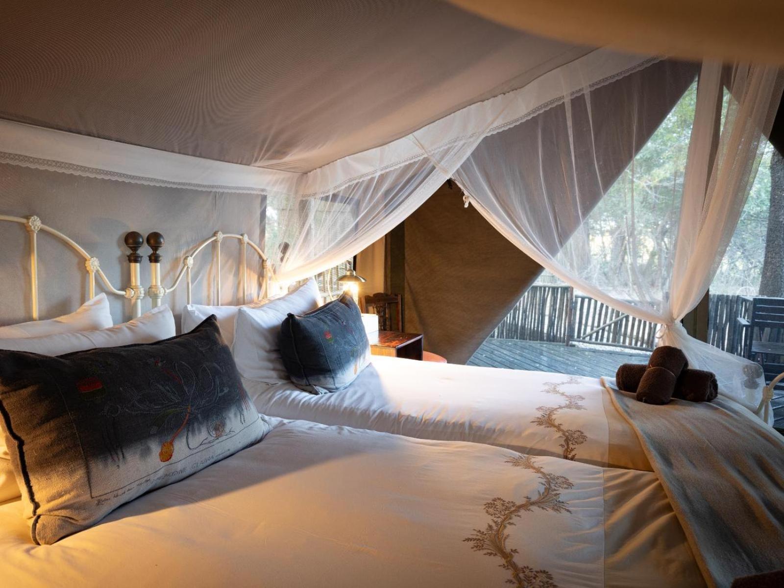 Kwambili Game Lodge Thornybush Game Reserve Værelse billede