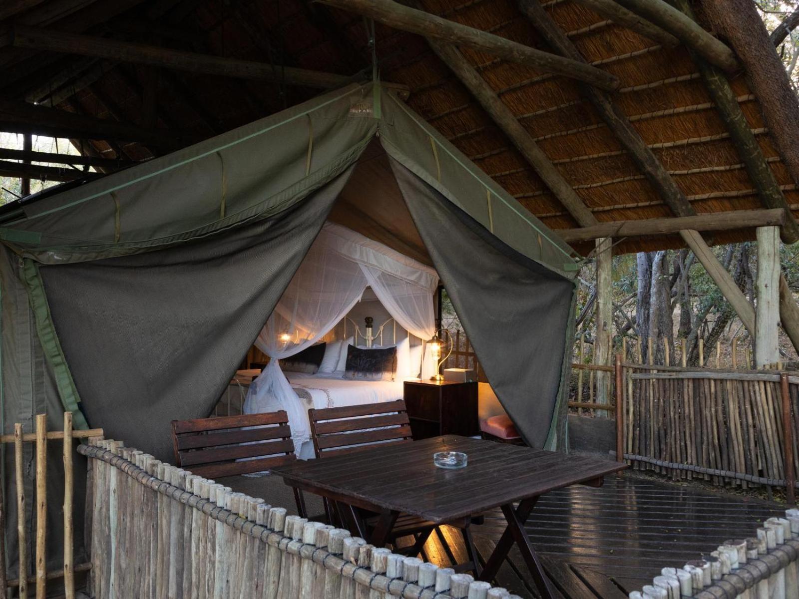 Kwambili Game Lodge Thornybush Game Reserve Værelse billede