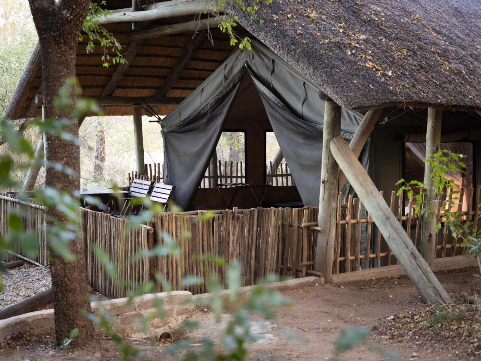 Kwambili Game Lodge Thornybush Game Reserve Værelse billede