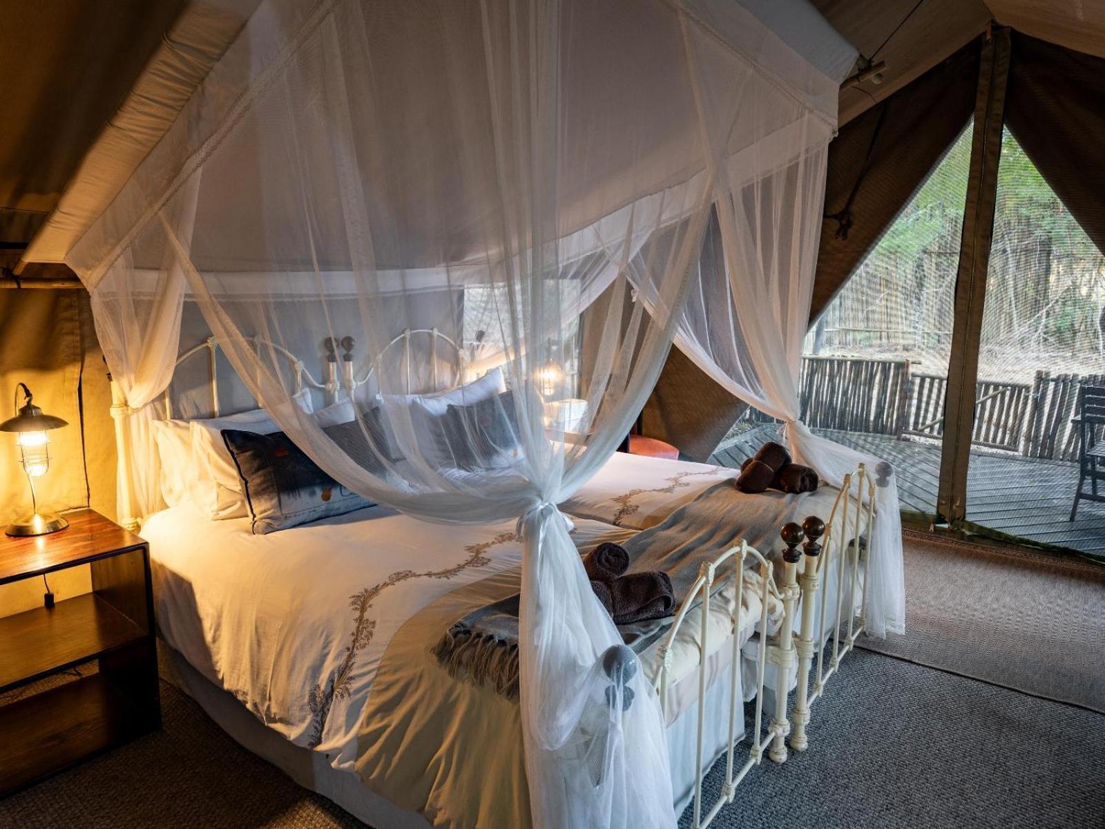 Kwambili Game Lodge Thornybush Game Reserve Værelse billede