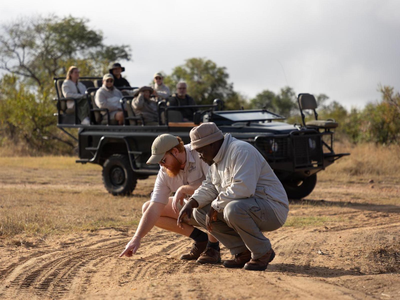 Kwambili Game Lodge Thornybush Game Reserve Eksteriør billede