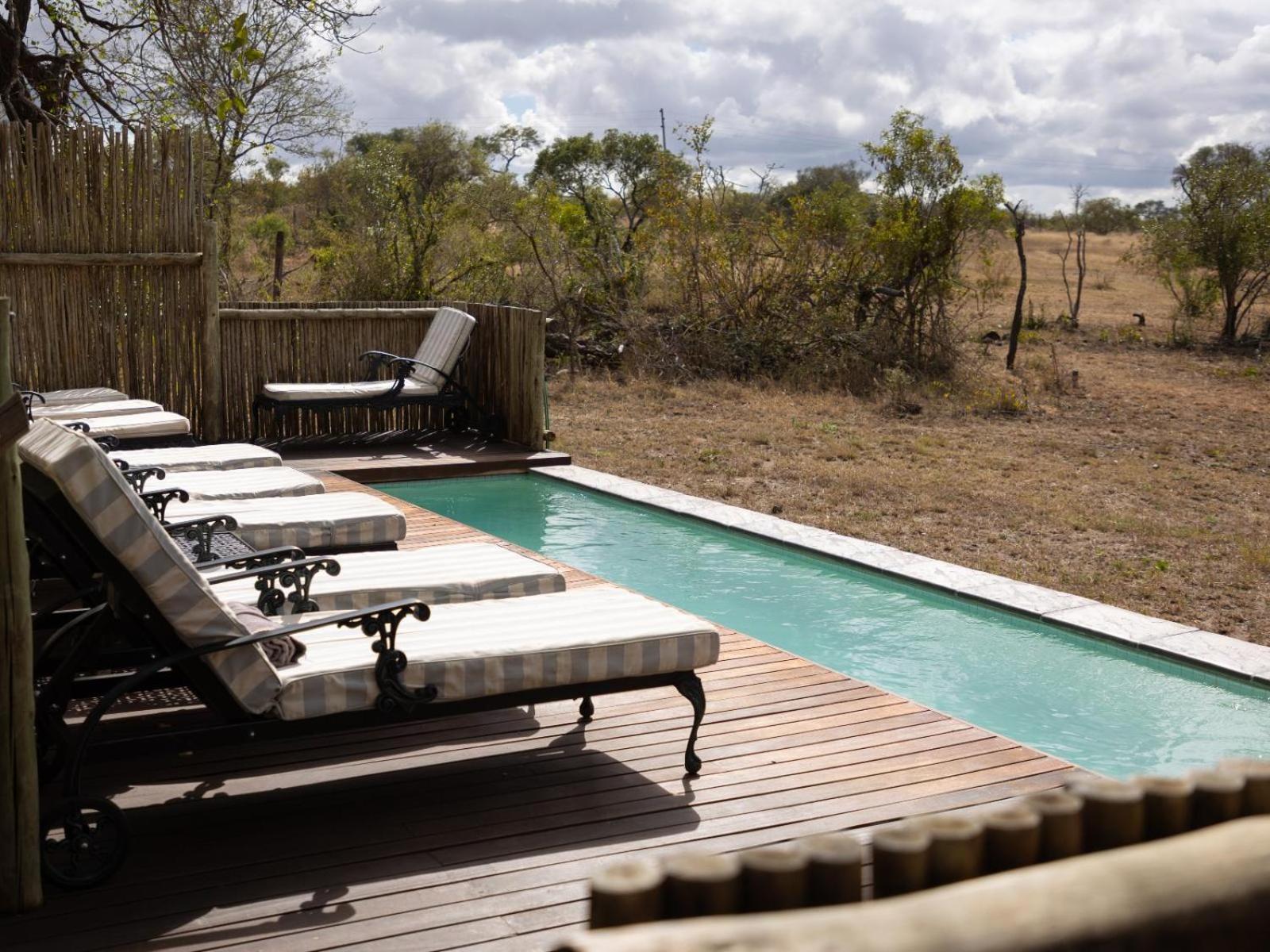Kwambili Game Lodge Thornybush Game Reserve Eksteriør billede