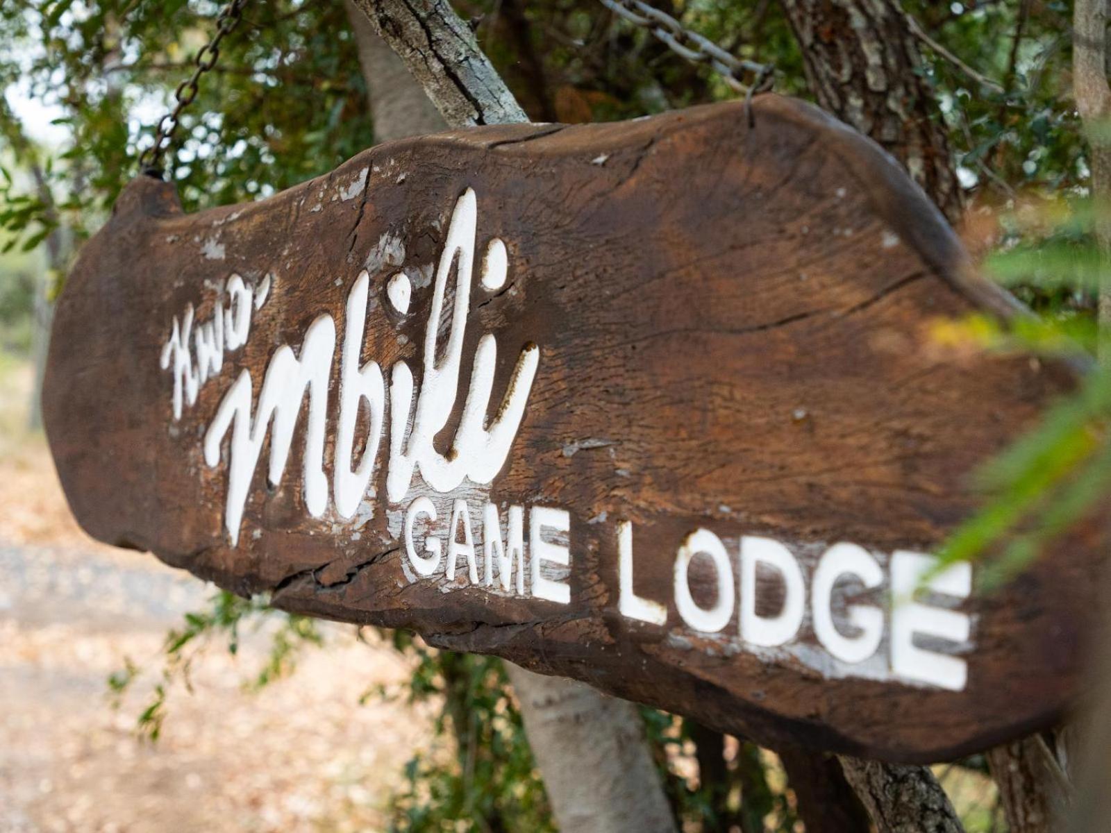 Kwambili Game Lodge Thornybush Game Reserve Eksteriør billede