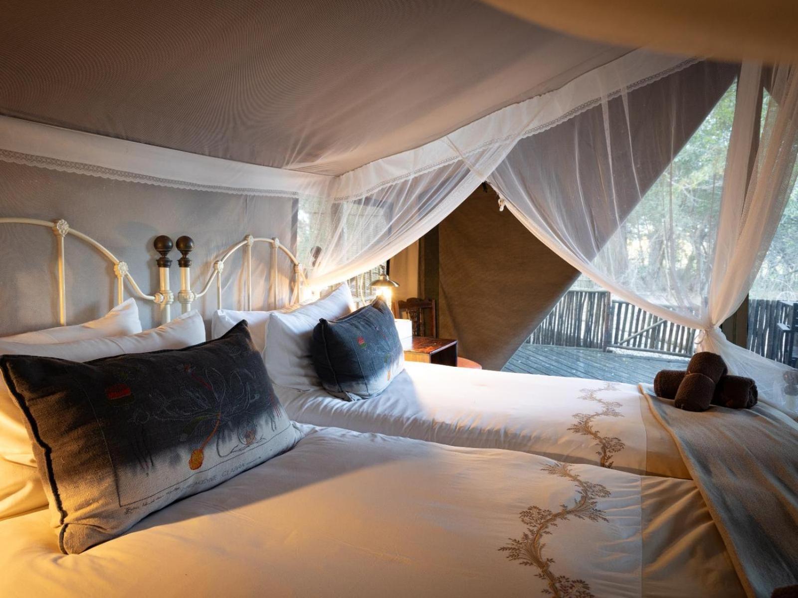 Kwambili Game Lodge Thornybush Game Reserve Værelse billede