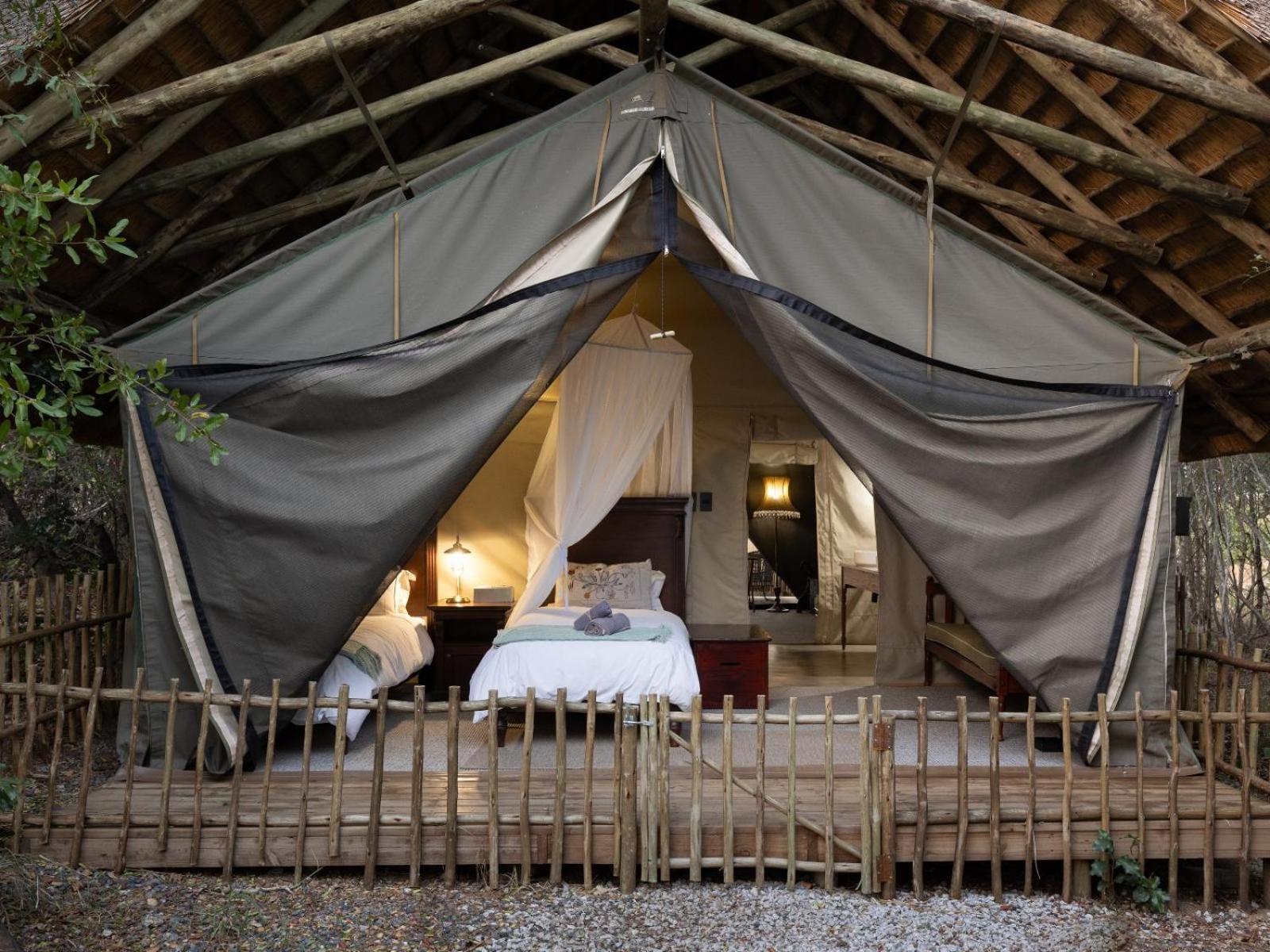 Kwambili Game Lodge Thornybush Game Reserve Eksteriør billede