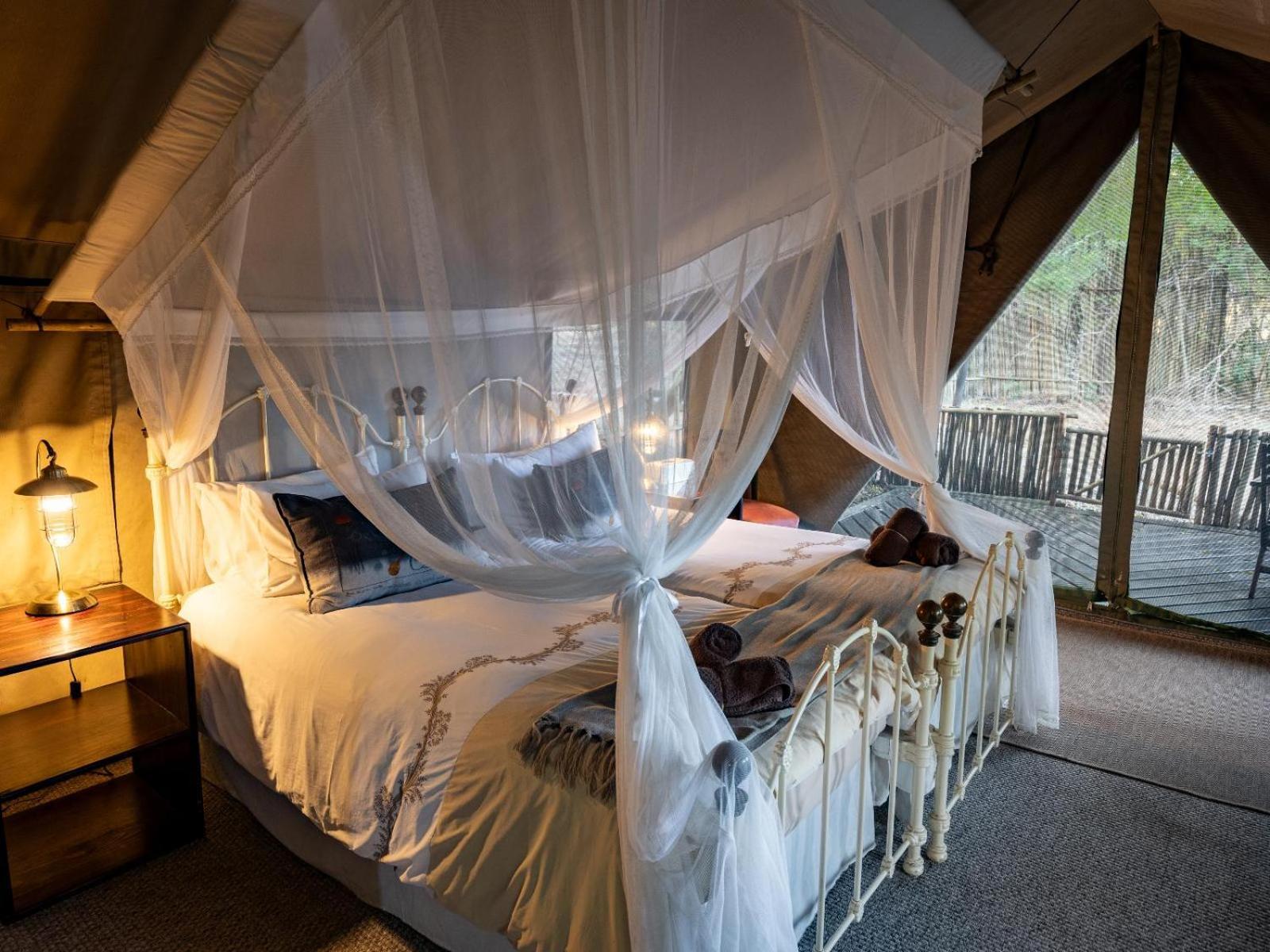 Kwambili Game Lodge Thornybush Game Reserve Værelse billede