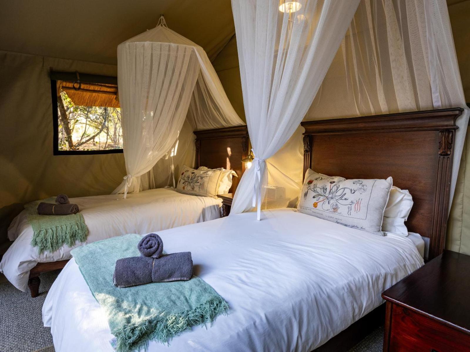 Kwambili Game Lodge Thornybush Game Reserve Eksteriør billede