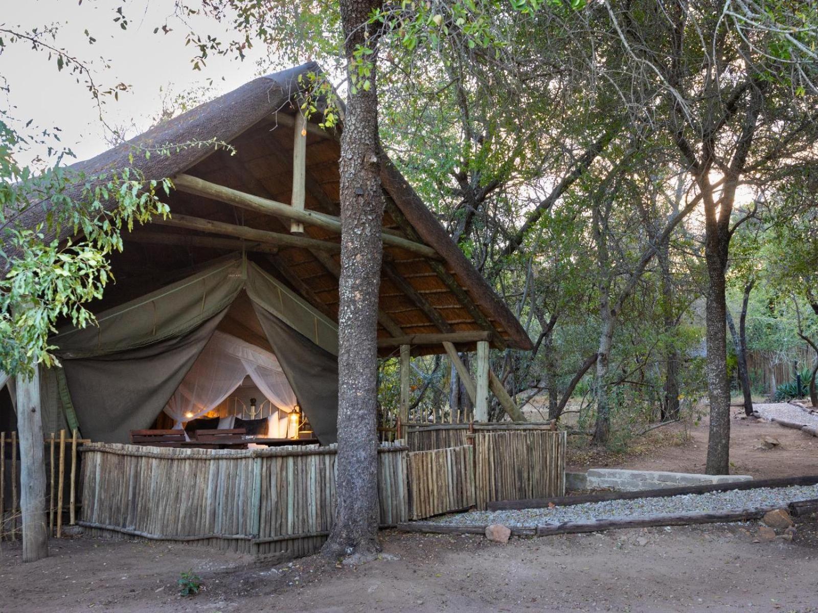 Kwambili Game Lodge Thornybush Game Reserve Værelse billede