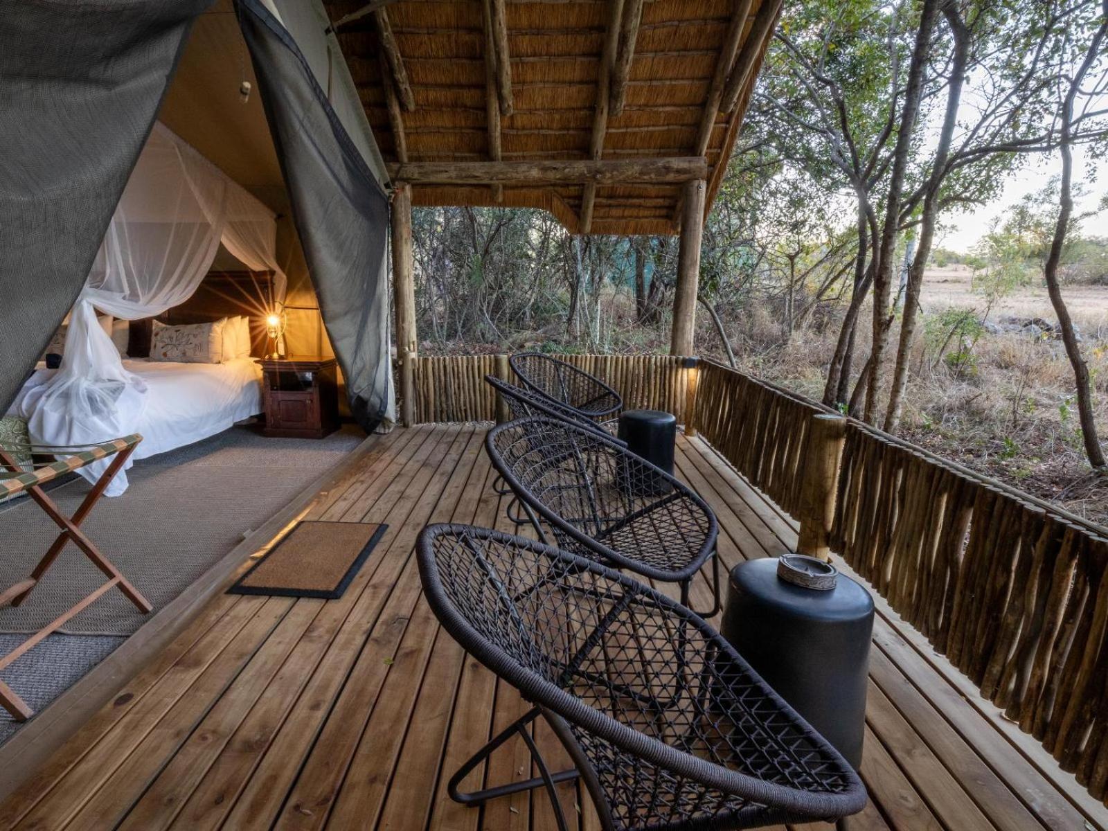 Kwambili Game Lodge Thornybush Game Reserve Værelse billede
