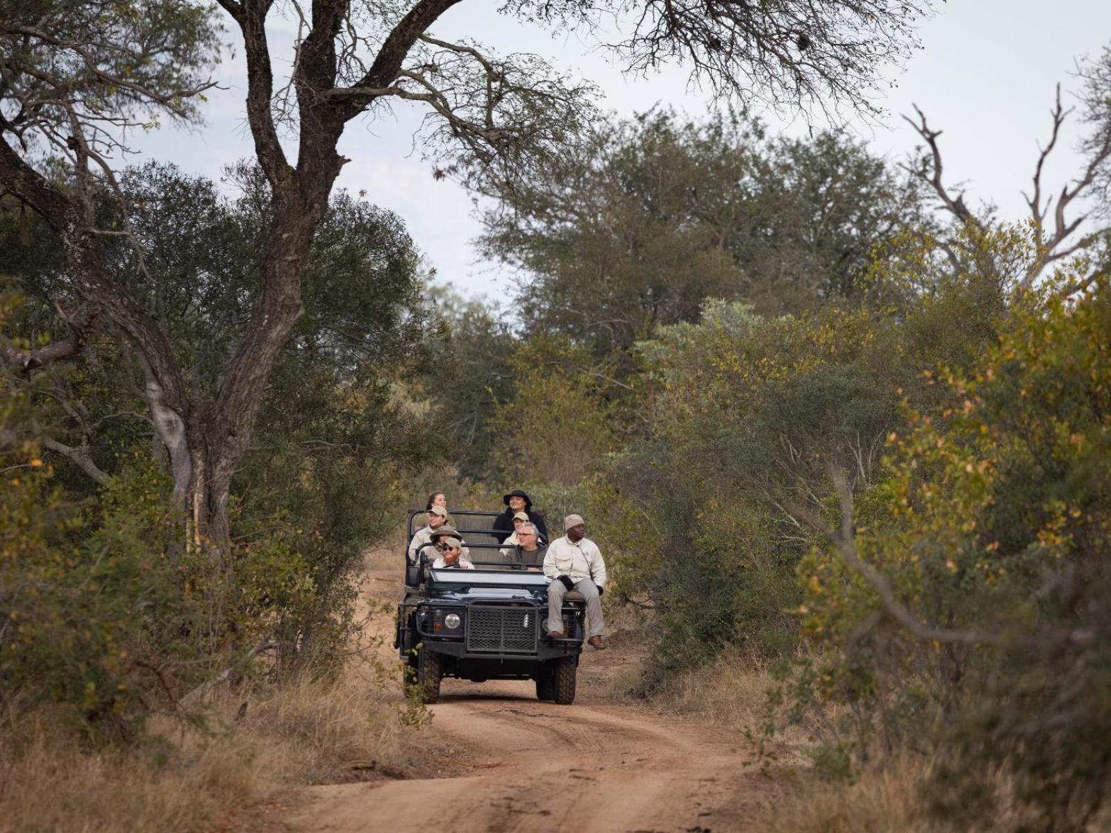 Kwambili Game Lodge Thornybush Game Reserve Eksteriør billede